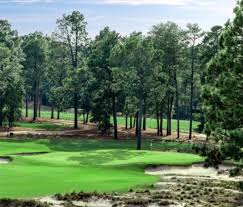 Image result for Pinehurst Green 1961 Imperial