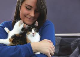 Battersea Dogs & Cats Home Annual Review 2015