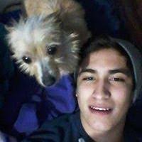 Alan Davalos's Instagram, Twitter & Facebook