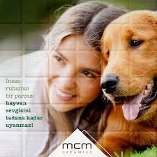 Dunya Hayvanlari Koruma Gunu Kutlu Olsun Hayvan