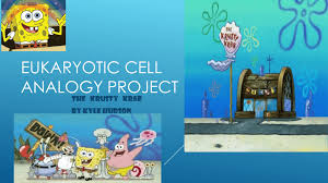 Analogies are used to show how things that are very different ~cell analogy project~this is the perfect end for your animal and plant cells and their organelles unit. Eukaryotic Cell Analogy Project