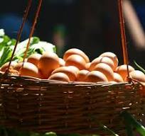 Huevos Orgánicos – GranjaCERO
