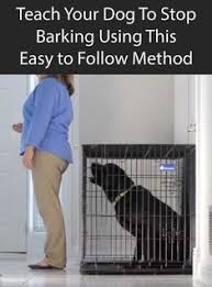 How To Stop A Dog From Barking Dog Training Dog Training Obedience Puppy Training