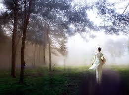Lãng Phong: KHÓI SƯƠNG THU CẢM -Thơ Cao Mỵ Nhân và Thơ Họa