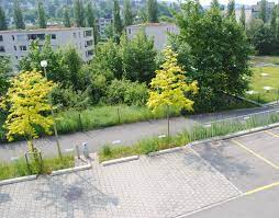 8 Shades Of Green Infrastructure Landscape Design Program Landscape Elements Landscape Design