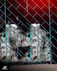 awesome picsart 500 hd backgrounds download picsart background 2019 learningwith blur background photography best background images love background images pinterest ie