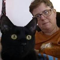 Lost Cat by C. Roger Mader