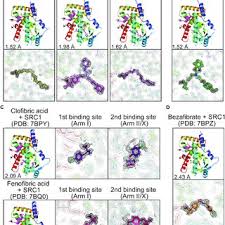 A wide variety of carbon monoxide detector alarm options are available to you home use 12v carbon monoxide detector personal usage co alarm specifications: Pdf Ppara Ligand Binding Domain Structures With Endogenous Fatty Acids And Fibrates