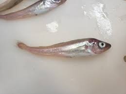 Prices may vary depending on the platform used. S4entrembivsym