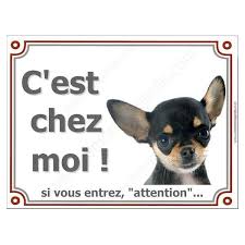 Chihuahua Noir Et Feu Poils Courts Plaque Portail Attention Au Chien Panneau Chihuahua Noir Attention Au Chien Chihuahua Poil Court