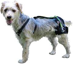 Hip support brace is all you need if you suffer from any kind of hip pain. Amazon Com Walkin Hip Eez Dog Hip Brace Support Harness System Provides Joint Support For Dogs With Hip Dysplasia And Other Conditions Affecting The Hip Joint Pet Supplies