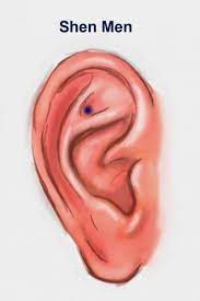 Tom Kbrink S Art And Holistic Living Acupressure Point Shen Men Acupressure Points Acupressure Piercing For Migraine Relief