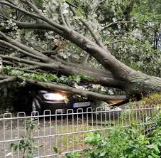 Regen, schneefall, wind, gewitter gefrierender regen. Starkregen Schwere Unwetter Uber Deutschland Bilder Fotos Welt
