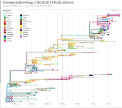 Ebola 2 is created in the spirit of the great classics of survival horrors. Kivu Ebola Epidemic Wikipedia