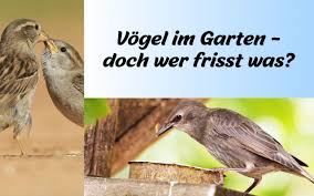 Pin Auf Naturschutz