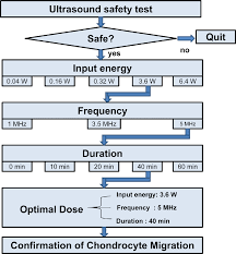 Figure 3 15 From The Effect Of Low Intensity Pulsed