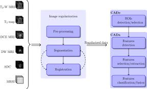 2016 2017 2018 2019 2020 2021 billable/specific code male dx. Computer Aided Detection And Diagnosis For Prostate Cancer Based On Mono And Multi Parametric Mri A Review Sciencedirect