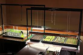 Check spelling or type a new query. Mavis Garden Blog Grow Light Set Up And Pictures Of Seedlings One Hundred Dollars A Month