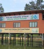 Or country to also experiencebukit merah orang utan island foundation.promoting your link also lets your audience know that you are featured on a rapidly growing travel site.in addition, the more this page is used, the more we will promote to other inspirock users. Orang Utan Island Gowhere Malaysia