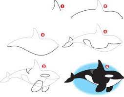 How to draw a killer whale orca breaching jumping youtube. Pin On How To Draw