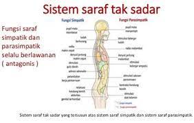 Proses terjadinya global warming beserta dampak. Trending News Makalah Sistem Saraf Pada Manusia Beserta Gambarnya Makalah Sistem Gerak Pada Manusia Beserta Gambarnya Sistem Saraf Adalah Salah Satu Organ Yang Berfungsi Untuk Menyelenggarakan