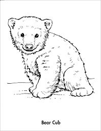 These alphabet coloring sheets will help little ones identify uppercase and lowercase versions of each letter. Baby Bear Coloring Page Coloringbay