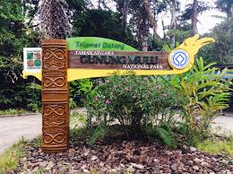 Gunung mulu national park (taman negara gunung mulu) is in sarawak on the island borneo, near the border with brunei. Gunung Mulu National Park Hohlenforscher