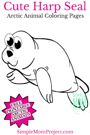 Simply download and print as many copies of this baby harp drawing printable as you'll need for your students. Free Printable Arctic Harp Seal Coloring Page Zoo Animal Crafts Arctic Animals Crafts Animal Crafts For Kids
