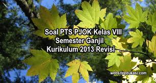 Buku bsa kelas 8 smp. Soal Pts Pjok Kelas 8 Semester 1 Kurikulum 2013 Websiteedukasi Com