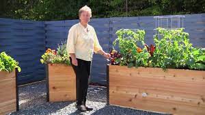 A great thing about raised garden beds is the fact that. About Our Elevated Raised Beds Youtube