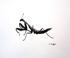 praying mantis original charcoal sketch original art charcoal drawing pencil drawing insect drawing wildlife art black and white mantis tattoo praying mantis charcoal sketch