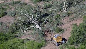 Maybe you would like to learn more about one of these? Infocampo Servicio Meteorologico Nacional