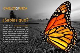 Pin En Contenido De Valor