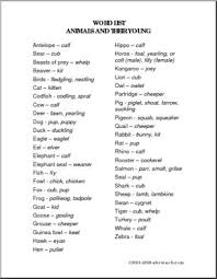 Different types of animals their names and their baby names are provided in this lesson. List Animal Babies Abcteach