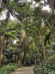 The park is filled with historical and artistic monuments. Free Things To Do In Sao Paulo Free Things To Do Sao Paulo Sao