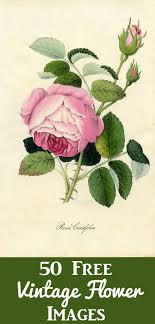 I pulled a tooth fairy graphic from pixabay (a free image site) and typed up an official looking letterhead, then left a quick apology. 900 Free Printables Ideas Graphics Fairy Printable Art Printables