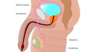 Male Birth Control Shot Found Effective But Side Effects Cut Study Short Cnn