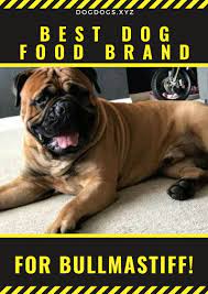 Top 7 Best Dog Food Brands Dogdogs Dog Food Recipes Best Dog Food Best Dog Food Brands