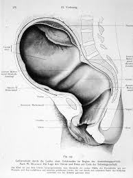 Allerdings haben wir festgestellt, dass in der ecke zur vorderscheibe, innen, diese silikonwurst weghängt. Https Www Uniklinik Freiburg De Fileadmin Mediapool 07 Kliniken Frauenklinik Pdf Vorlesungen Geburtshilfe Kunze 1 Pdf