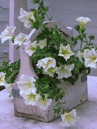 Follow us on facebook and instagram for updates on an even larger big tool box and highlands garden center. 62 Toolbox Garden Ideas Garden Container Gardening Plants