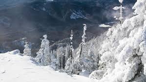 Webcam poiana brasov, camara live din poiana brasov, strarea partiilor din poina, stratul de zapada , programul din poiana brasov live. Webcam Live