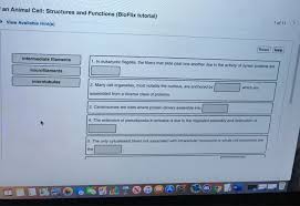 Check spelling or type a new query. Iii Dan Sign Out Hw Ch 4 Tour Of An Animal Cell Chegg Com