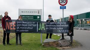 Approximately 11,000 pending cases against ag bayer, which acquired monsanto in june of last year, accuse the company of selling roundup even though it causes cancer. Monsanto Also Active In The Netherlands Also Unwanted In The Netherlands Aseed