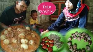 Puyuh merupakan jenis burung yang tidak bisa terbang. Cara Masak Sambal Tanak Teri Telur Puyuh Dan Jengkol Ba Ompieng Youtube