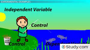 Invalid next control variable reference. Identifying Interpreting Independent Dependent Variables Video Lesson Transcript Study Com