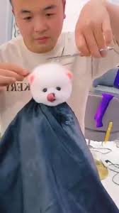 Joel Husman (joelhusman45)