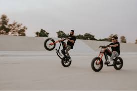 Image result for Bright Candy Plum 1990 Motorcycle