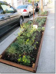 Argonne School Transforms Grey To Green With A New Sidewalk Garden Richmond Sf Blog Sidewalk Landscaping Landscape Architect Landscape Design