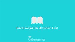 We did not find results for: Rantai Makanan Ekosistem Laut Beserta Pengertian Secara Lengkap