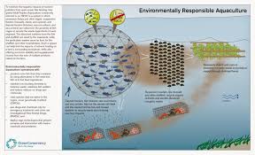 Pin By Ivy Ho On Marine Aquaculture Aquaculture Fish Farming Aquaculture Aquaponics